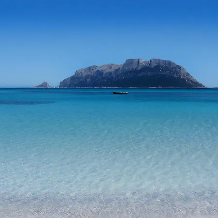 Attico Al Primo Piano Quadrilocale, Pittulongu Holiday home Olbia